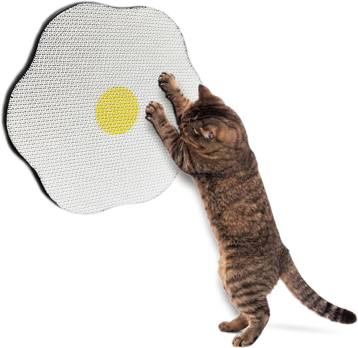 Wall Mounted Cat Scratcher, Space Saver for Doors & Hallways